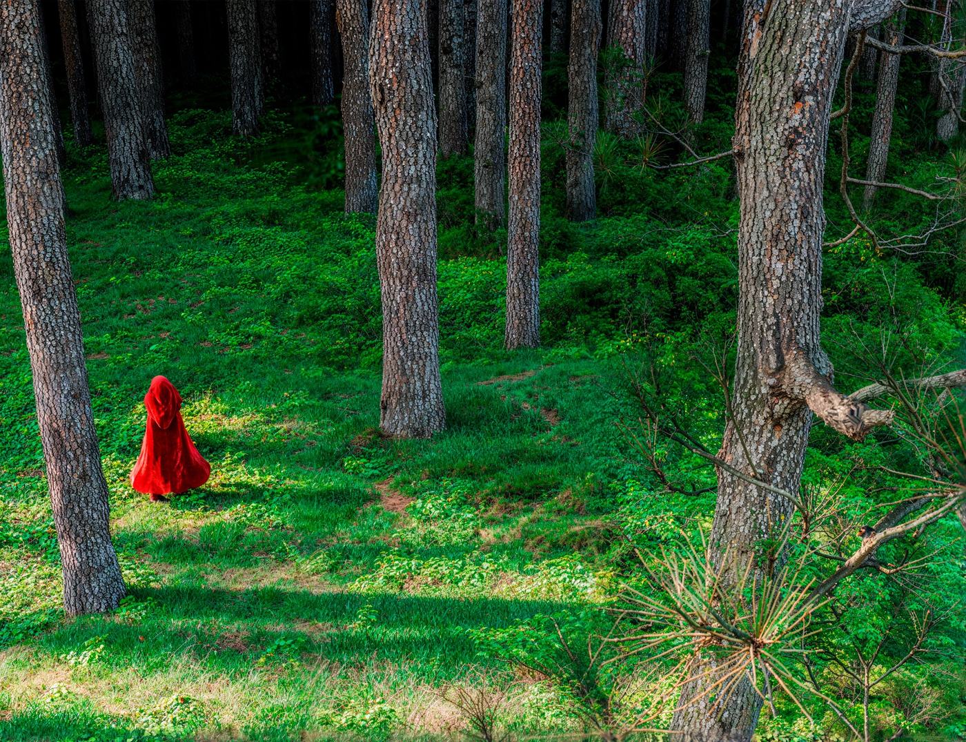 Renderização 3D da floresta da Chapeuzinho Vermelho: figura pequena de capuz vermelho entre troncos imensos de pinheiros